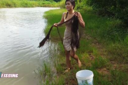 松滋喂鱼小姐姐,松滋温情一幕，传递爱心与和谐